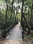IMG_0509