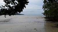 IMG_0519
