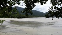 IMG_0520