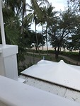 IMG_0531