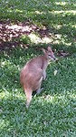 IMG_0573