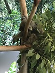 IMG_0555