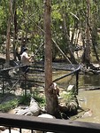 IMG_0556