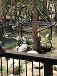 IMG_0557
