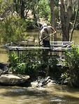 IMG_0558