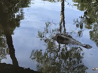 IMG_0560