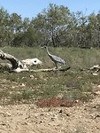 IMG_0631
