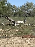 IMG_0632