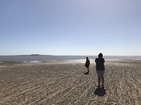 IMG_0703