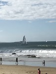 IMG_1011