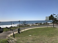 IMG_0978