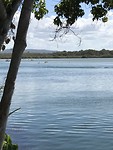 IMG_1009