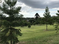 IMG_1035