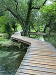 IMG_8722