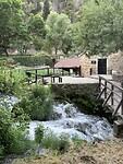 IMG_8729