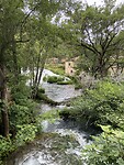 IMG_8731