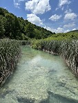 IMG_8831