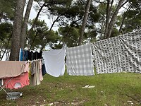 IMG_9042