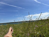 IMG_9049