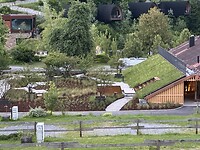 IMG_9599