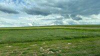 DBBEF3B7-C30B-44B8-8678-38202E2A3B96