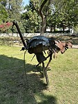 IMG_1785