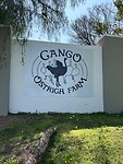 IMG_1787