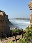 IMG_1824