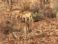 IMG_2172