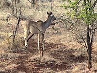 IMG_2176