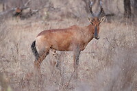 IMG_3031