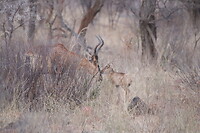 IMG_3022