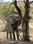 IMG_2265