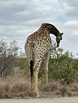 IMG_2272
