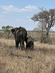 IMG_2287