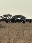 IMG_2319