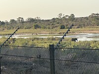 IMG_2331