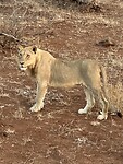 IMG_2354