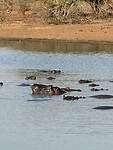 IMG_2379