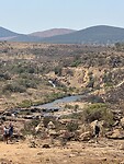 IMG_2771