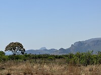 IMG_2803