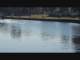 Crystal river3