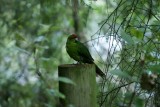 DSC00508