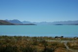 DSC00224
