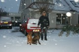 We zijn weer thuis