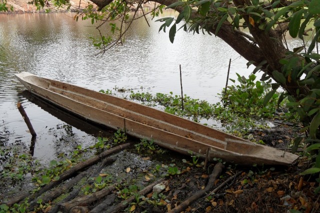 De uitgeholde boomstam | Foto | Piet en Jolanda in Colombia