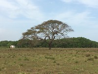 IMG_1312