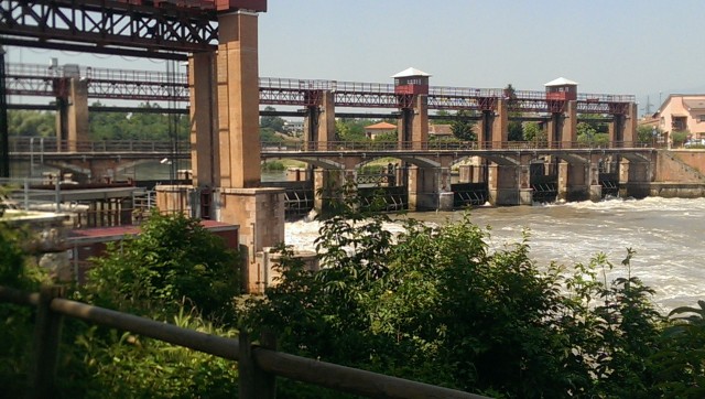 IMAG0135