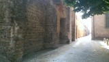 IMAG0041