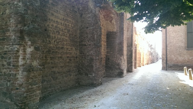 IMAG0041